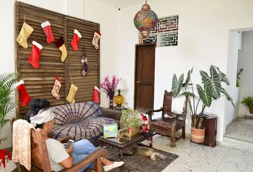 Majatalo Magic Garden House