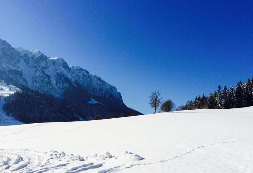 Пансион Steindlhof In Walchsee