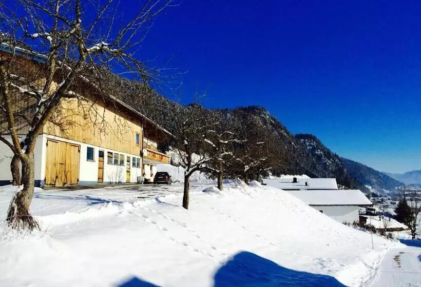 ペンション Steindlhof In Walchsee