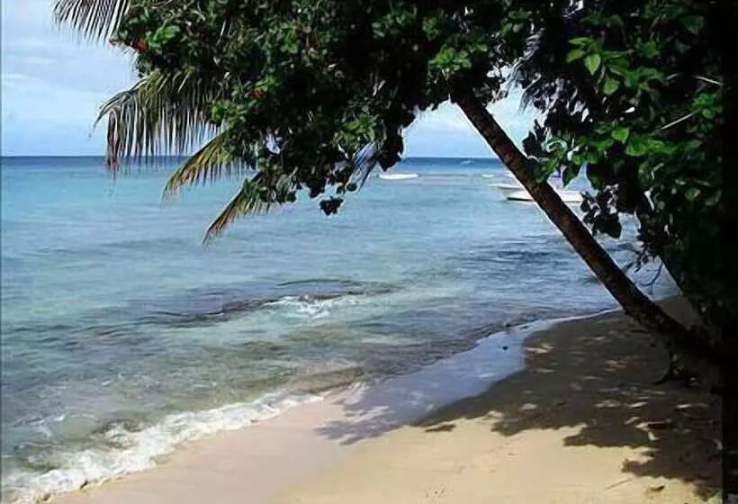 Cassandra 2 Beach Apartments