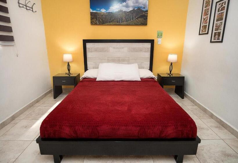 ホテル Casa Borbon