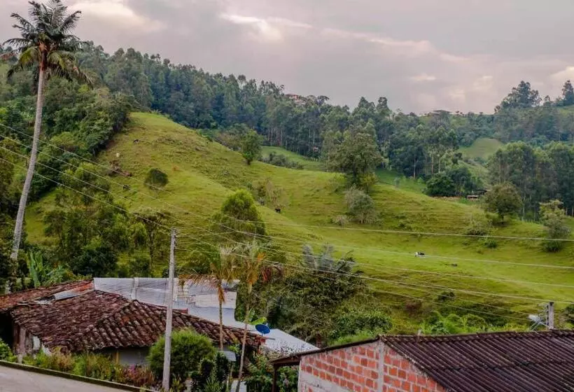 هتل Casa Borbon