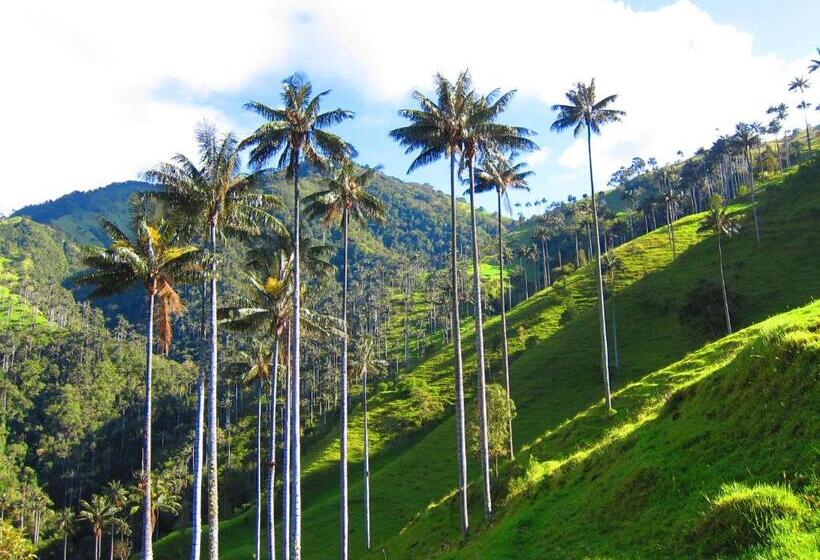 ホテル Casa Borbon