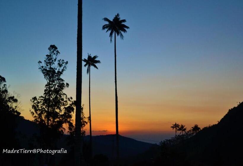 ホテル Casa Borbon