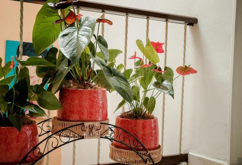 ホテル Casa Borbon