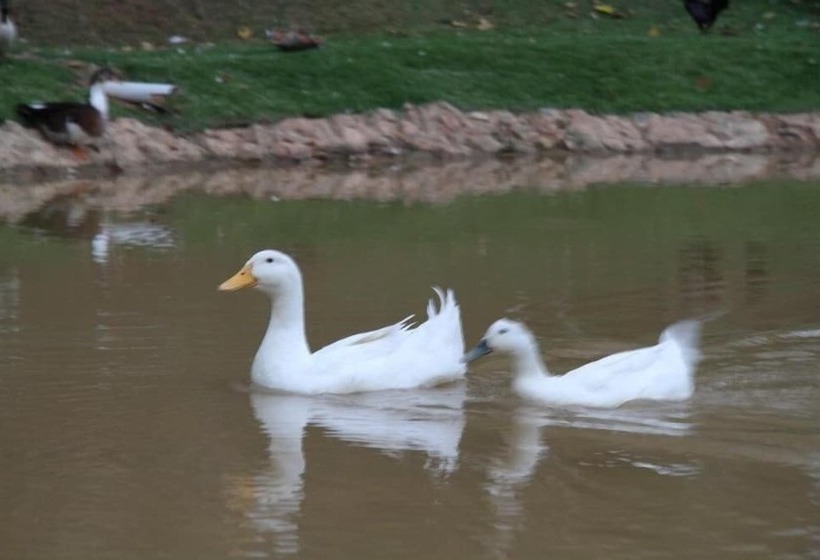 Otel Pousada Vale Da Serra