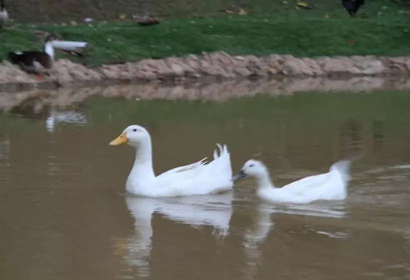 ホテル Pousada Vale Da Serra