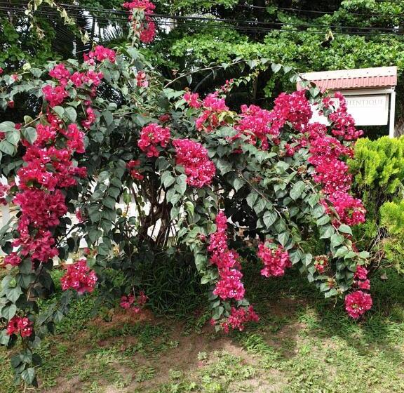 پانسیون Villa Authentique