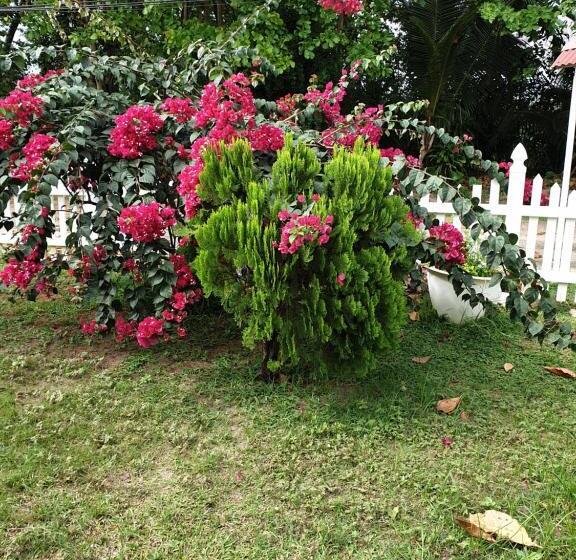 پانسیون Villa Authentique