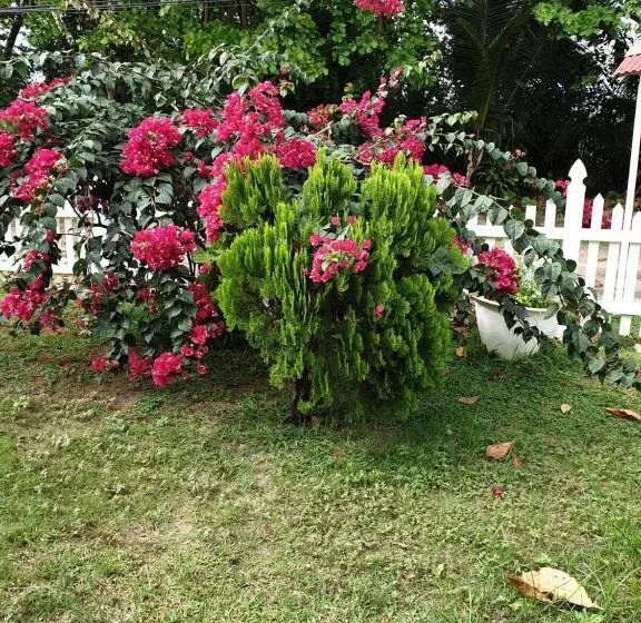 پانسیون Villa Authentique