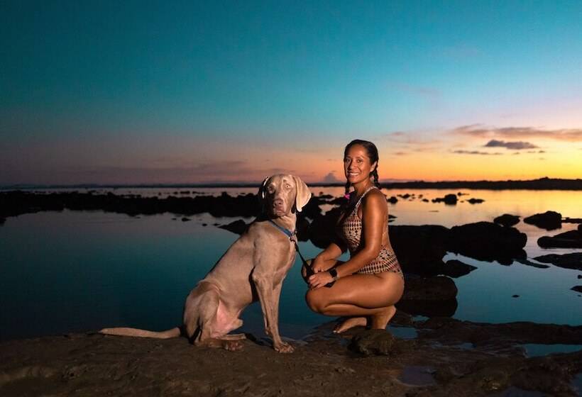 فندق Costa Pacifica