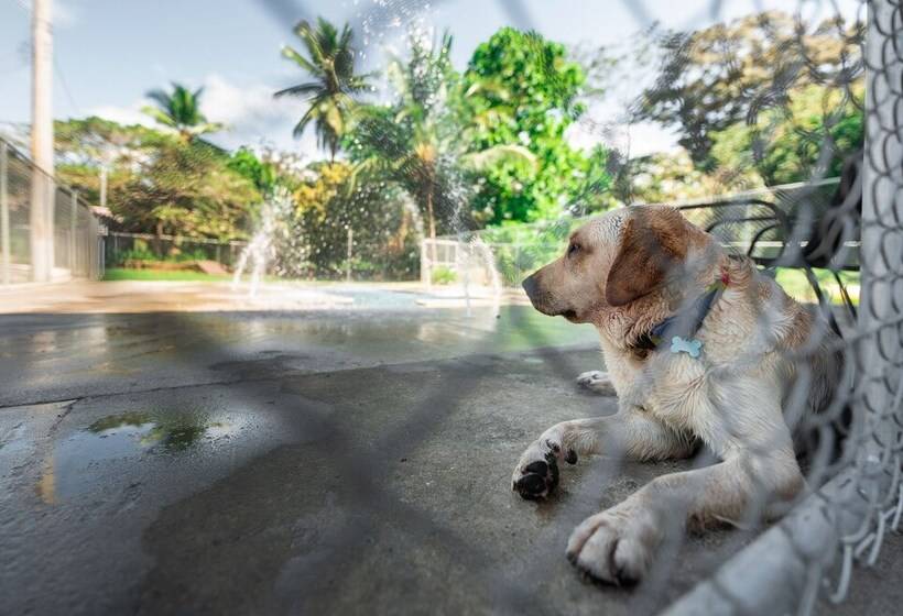 فندق Costa Pacifica