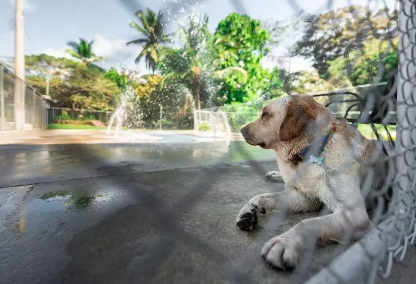 Hotelli Costa Pacifica