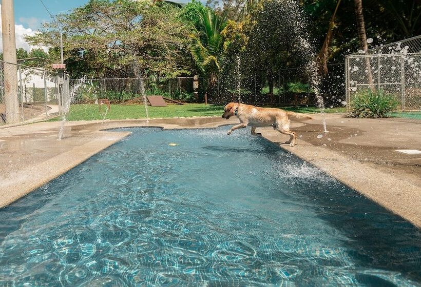 فندق Costa Pacifica