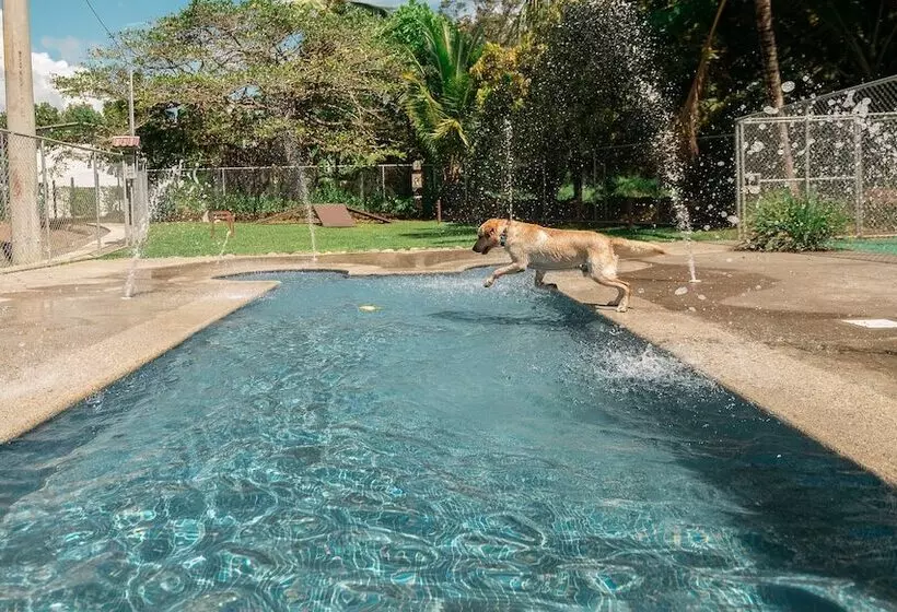 Hotelli Costa Pacifica