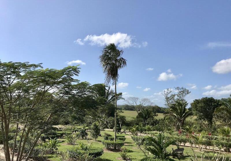 فندق Dream Valley Belize