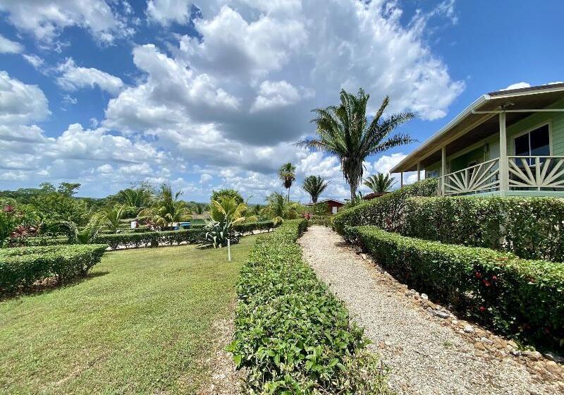 فندق Dream Valley Belize