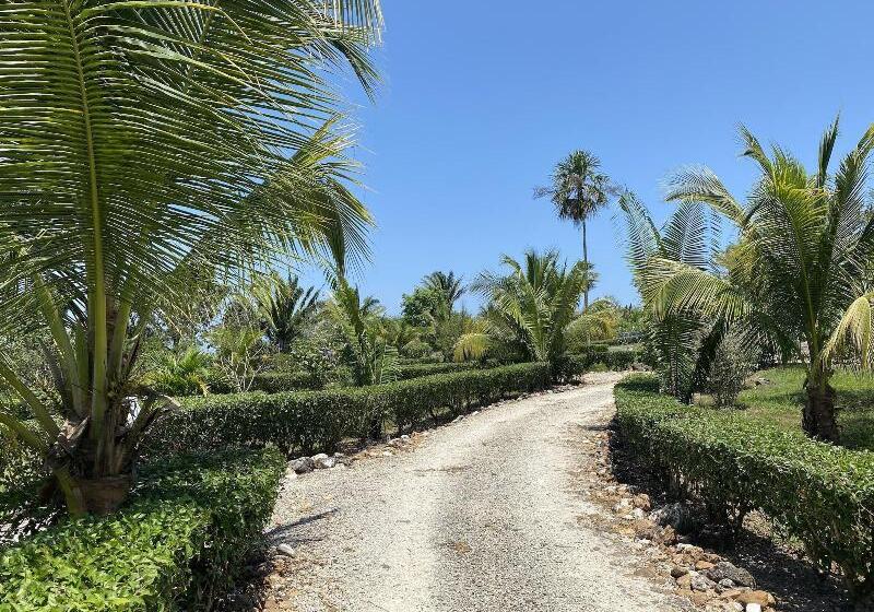 فندق Dream Valley Belize