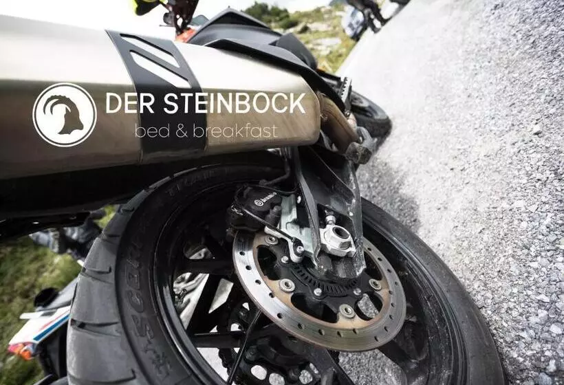 ホテル Pension Der Steinbock   Das 300 Jahre Alte Bauernhaus   Tirol