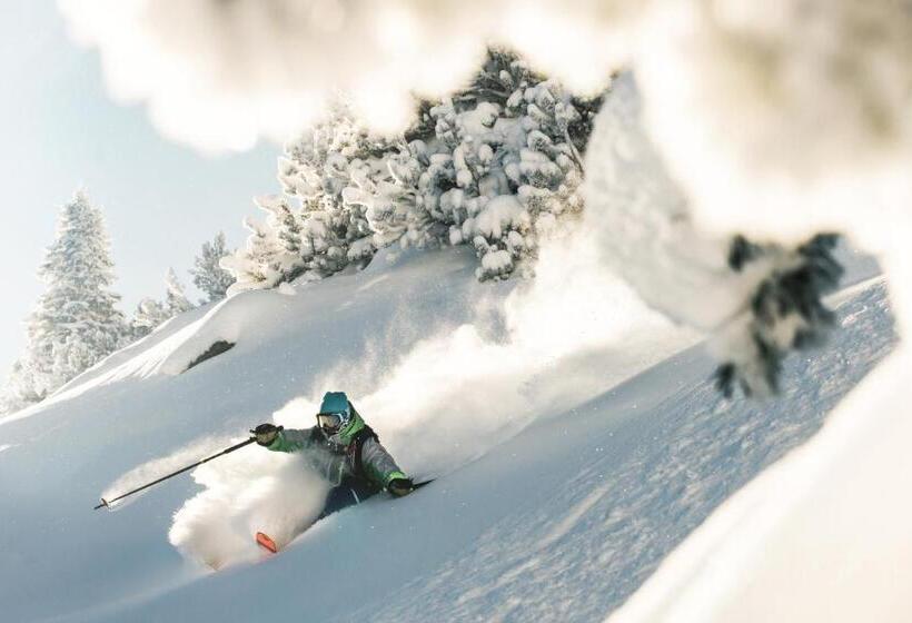 酒店 Pension Der Steinbock Das 300 Jahre Alte Bauernhaus Tirol