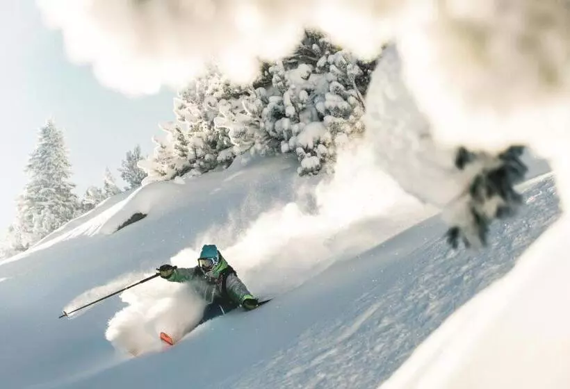 ホテル Pension Der Steinbock   Das 300 Jahre Alte Bauernhaus   Tirol