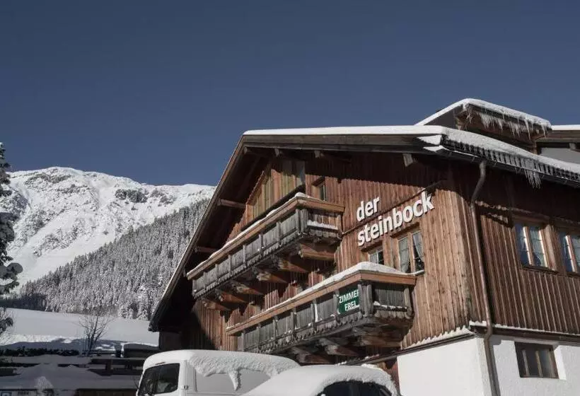 ホテル Pension Der Steinbock   Das 300 Jahre Alte Bauernhaus   Tirol