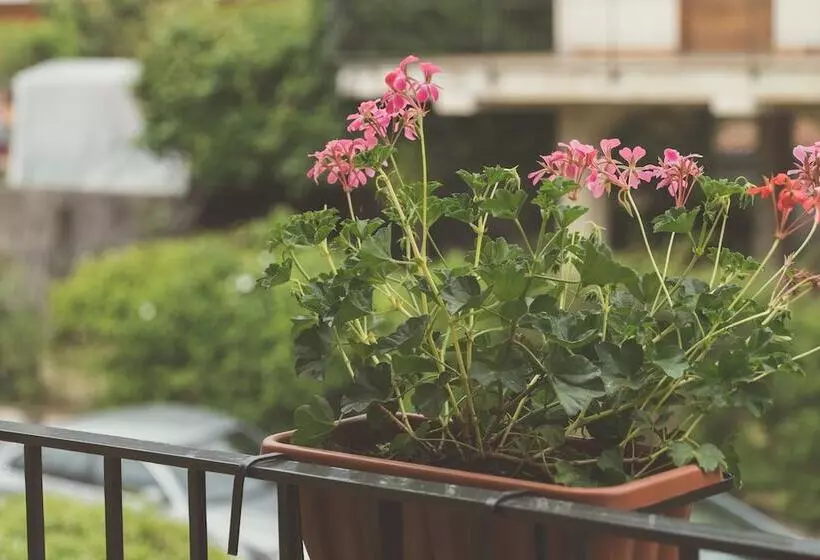 B&b Alle Falde Dell'etna