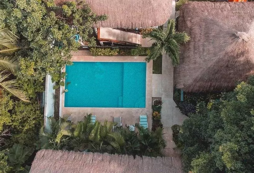 Hotelli Azul 36