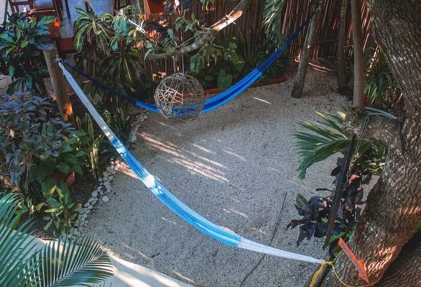 Hotelli Azul 36