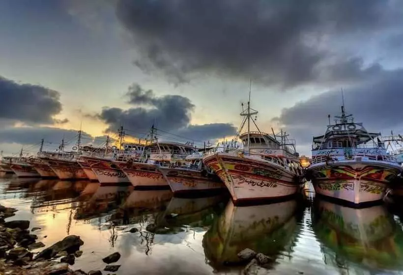 هتل Dolphin  Ras El Bar