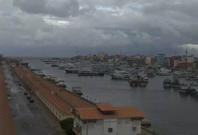 هتل Dolphin  Ras El Bar