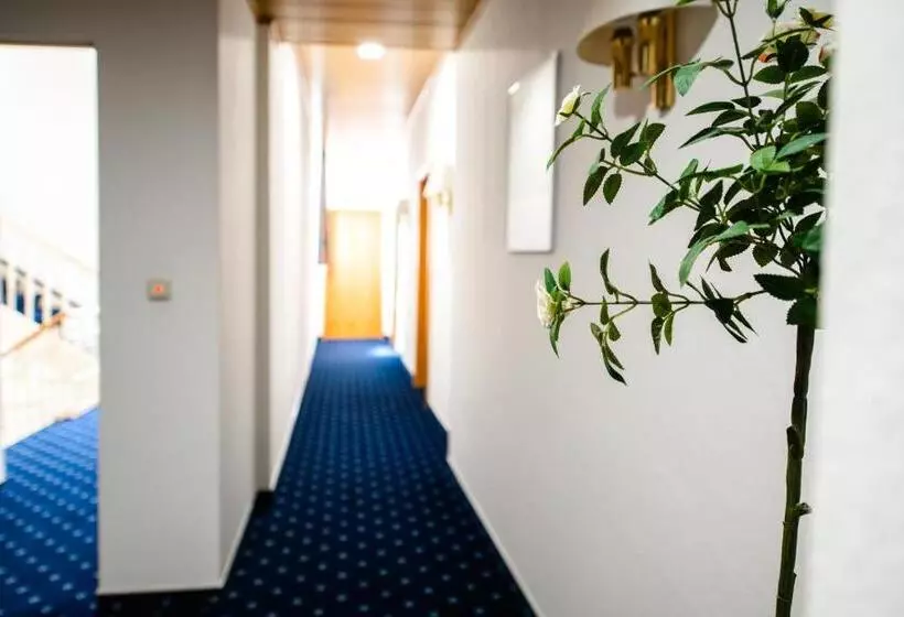 Hotelli Frankischer Hof