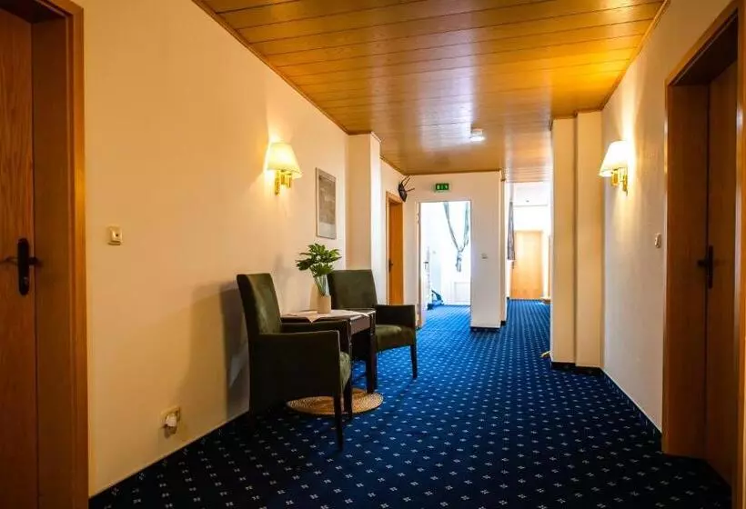 Hotelli Frankischer Hof