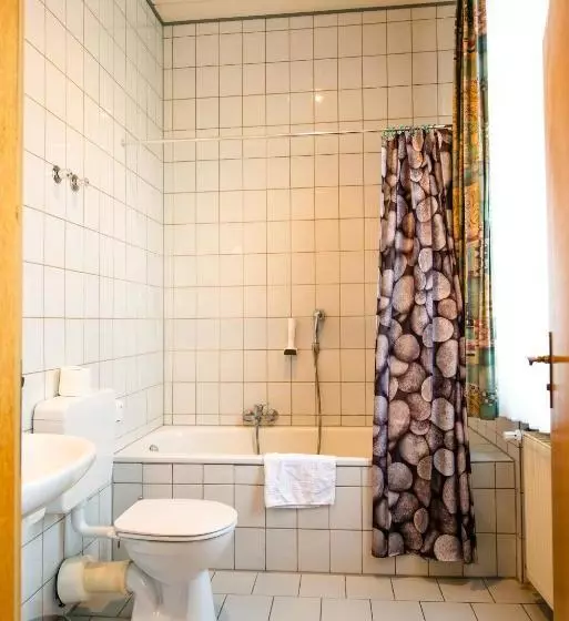 Hotelli Frankischer Hof