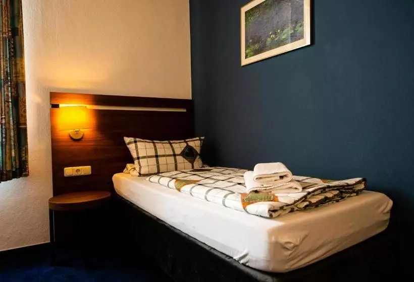 Hotelli Frankischer Hof