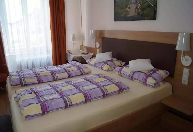 ホテル Gasthof Zur Traube