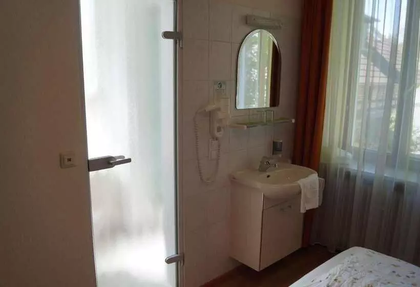 ホテル Gasthof Zur Traube