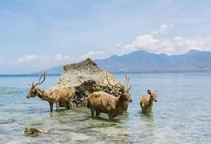 펜션 Rare Angon Homestay