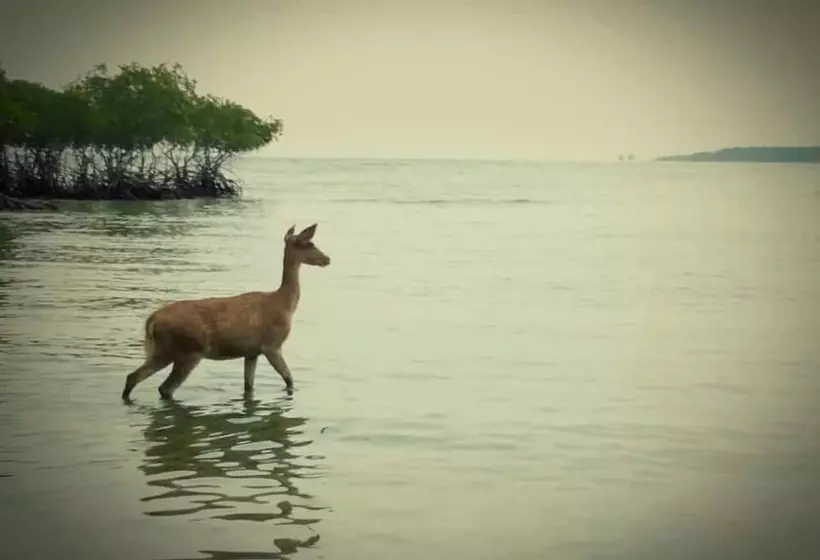 Majatalo Rare Angon Homestay