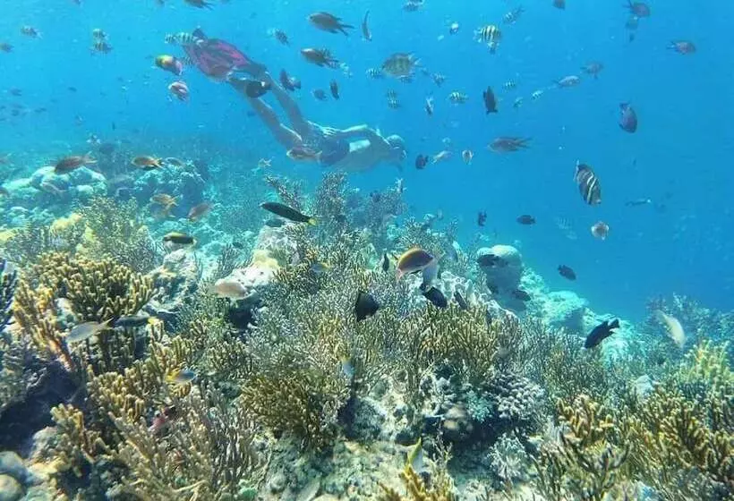 Majatalo Rare Angon Homestay