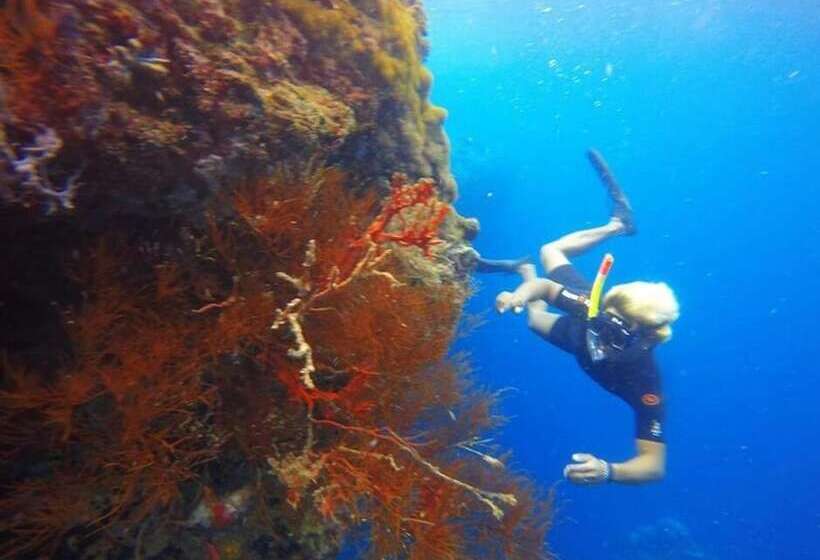 펜션 Rare Angon Homestay