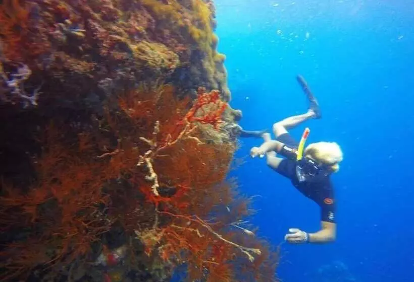 Majatalo Rare Angon Homestay