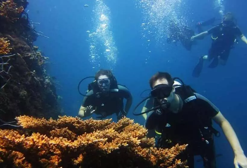 Majatalo Rare Angon Homestay