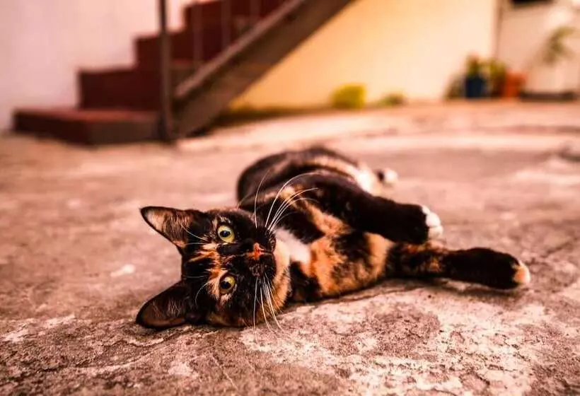 هاستل Villa Eshta