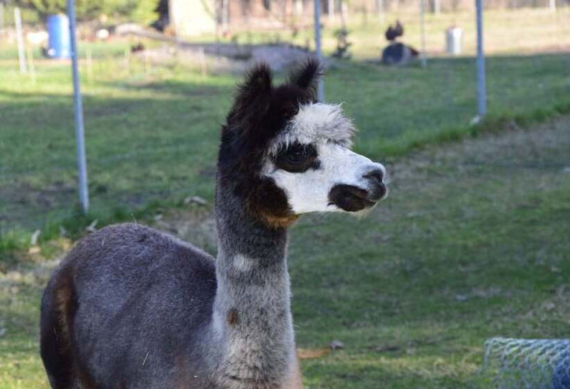 فندق ريفى Heritage Farm