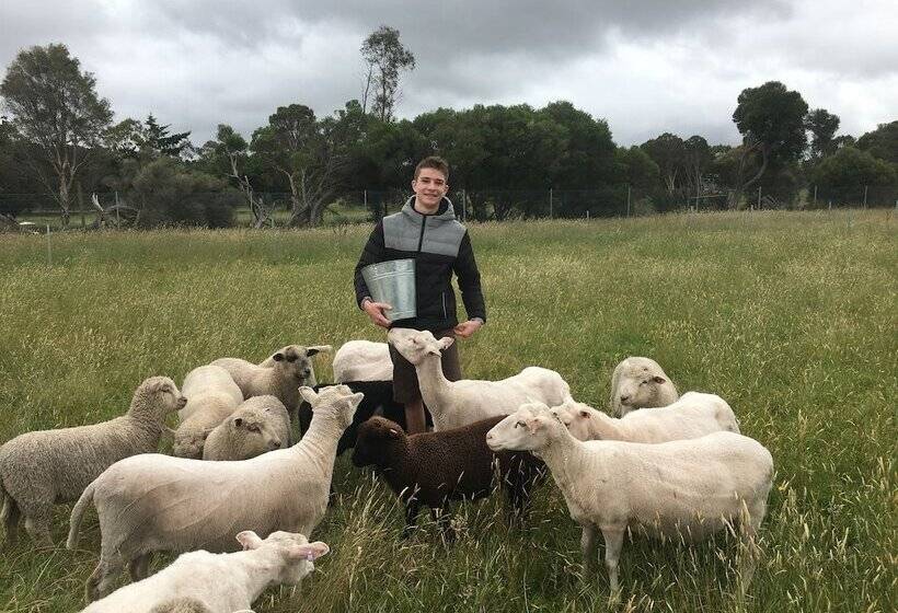 فندق ريفى Heritage Farm