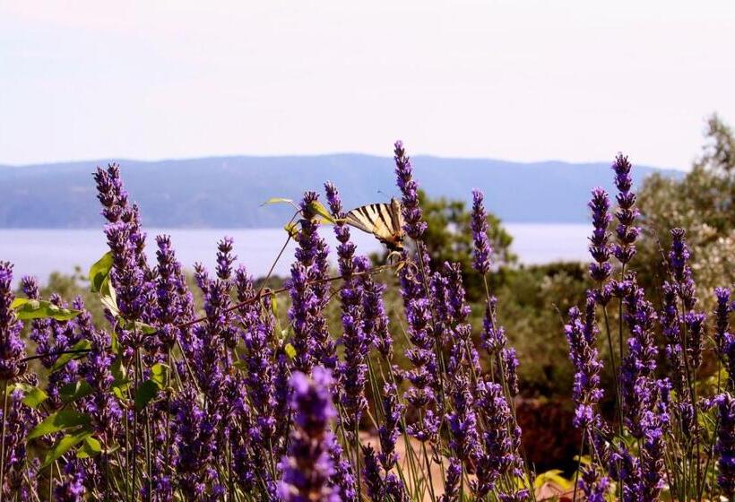 Boutique B&b Agroturizam Sv. Juraj