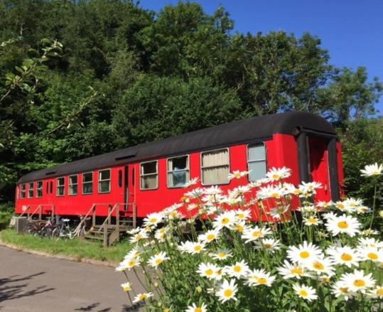 旅馆 Gjerrild Gæstehus Djursland