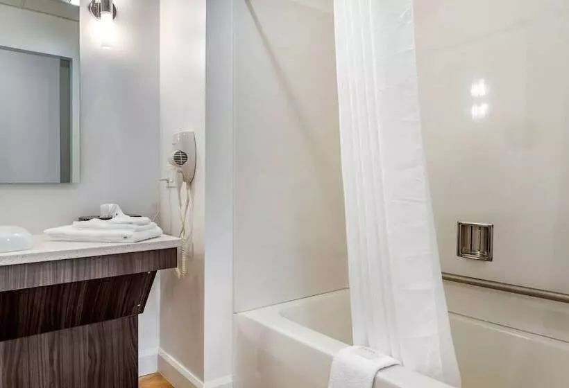 Hotel Rodeway Inn