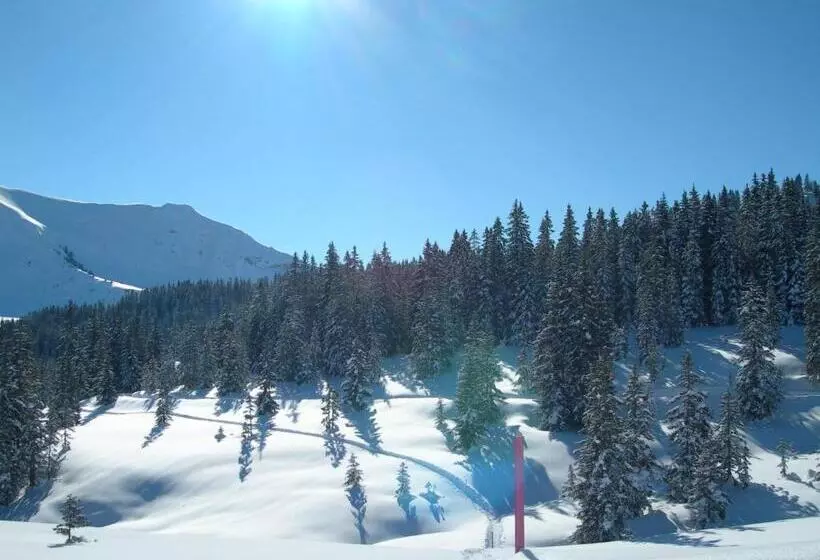 호텔 Crystal Interlaken